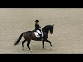 fabricius bjerre mikaela u0026 bellissimo l international gp freestyle @ hihs 17. 21.10.2018