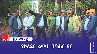 በባሕር ዳር ከተማ እየተሠራ የሚገኘው የኮሪደር ልማት በፌደራል እና በክልል ከፍተኛ የሥራ ኀላፊዎች ተጎበኘ።