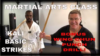 Martial Arts Class - Follow Along At Home