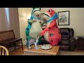 dehasion inflatable frog costume first impressions