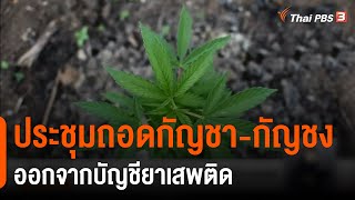 ประชุมถอดกัญชา-กัญชง ออกจากบัญชียาเสพติด (25 ม.ค. 65)