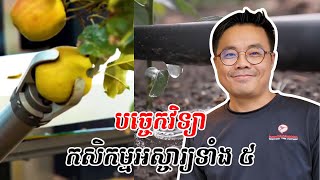 នេះជា បច្ចេកវិទ្យាកសិកម្មអស្ចារ្យទាំង ៥ របស់អុីស្រាអែល ឆ្លាតជាងមុន ទិន្នផលច្រេីនជាងមុន