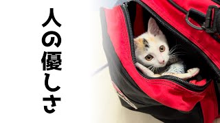 子猫を保護したら人々の優しさによって城が建った