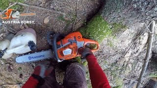 Husqvarna 562 XP®G  tree-felling Compilation