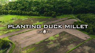 HOW TO PLANT MILLET FOR DUCKS!! - K ZONE TV:  Duck Millet In Arkansas!