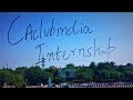 CAclubindia Internship Programme for CA Students