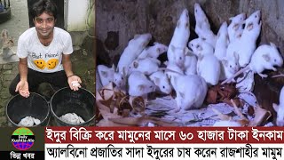 ইঁদুর বিক্রি করে মামুনের মাসে আয় ৬০ হাজার টাকা  | White Mouse | Albino | রাজশাহী বিশ্ববিদ্যালয়