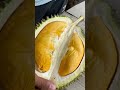 Unboxing durian