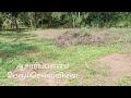 land for sale 2 km asaripallam nagercoil kanyakumari 10 cent east facing 9894708317 💐💐💐