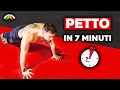 PETTO MUSCOLOSO IN 7 MINUTI - scheda completa