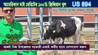 ৯০ লিটার দুধের ক্ষমতা সম্পন্ন সিমেন বুল US 894 | agriculture news | bayezid moral | savar dairy