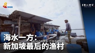 星期二特写 | 海水一方：新加坡最后的渔村