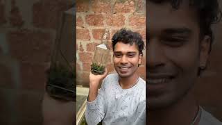 5000 രൂപയുടെ ടാങ്കിൽ 50 രൂപയുടെ മീൻ...😍 | mini planted tank making | shirmp for sale