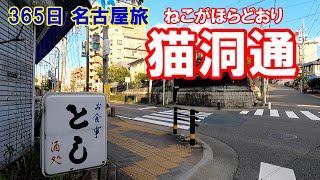 【365日 名古屋旅】名古屋市千種区猫洞通。本山から上ってみました。果たして昭和レトロに巡り合えるか？No.102