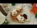 【旅行】【食べ物】新スタイルのいちご狩り⁉️くりみ苺園さんでいちご狩りしました✨座って食べられる画期的なスタイル🍀🍓