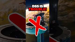 The DSS - More Trouble Than It's Worth?