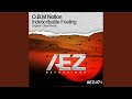 Indescribable Feeling (Original Mix)