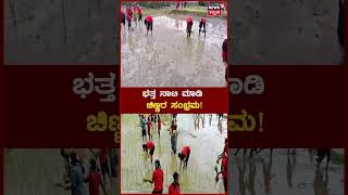 Shivamogga News | ಆಂಗ್ಲ ಮಾಧ್ಯಮ ಶಾಲೆ ಮಕ್ಕಳಿಗೆ ಭತ್ತ ನಾಟಿ ಮಾಡುವ ಪಾಠ