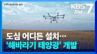 도심 어디든 설치…‘해바라기 태양광’ 개발 / KBS  2024.07.10.