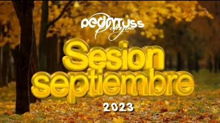 Sesión SEPTIEMBRE 2023 by Pedro Fernández (Reggaeton, Comercial, Trap, Flamenco, Dembow)