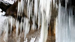 氷瀑した七条大滝