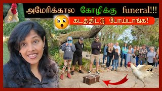 🐓கோழிக்கு funeral! Americaல  கோழி பலி குடுப்பாங்களா???😱🐓 Florida tamil vlog #tamilvlog