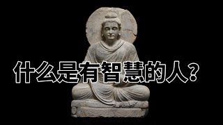 第六百九十九章 什么是有智慧的人？完全读懂巴利文大藏经（699）