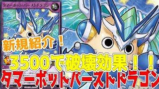 【ラッシュデュエル】新規紹介！タマーボット・バーストドラゴン！3500の破壊効果！！！【遊戯王】