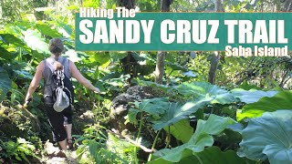 Hiking Saba Island | Sandy Cruz Trail