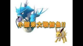 Pokemon Go 寶可夢攻略4 - 誰說雷精靈不好用?實境影片告訴你屬性相剋照樣電爆暴鯉龍!