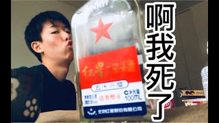 老外挑战白酒!!怎么喝白酒好喝呢!?