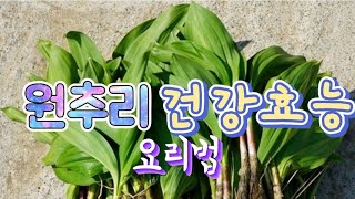 원추리! 우리 몸에 좋을까? 효능과 요리법