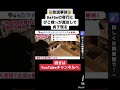 【daigo】※放送事故※ 猫たち騒然… ぴこ様真似して貞子現る【切り抜き】 shorts