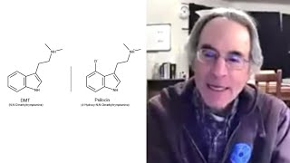 Why do psilocybin and DMT have different effects when they’re so chemically similar? | LM #40 clips