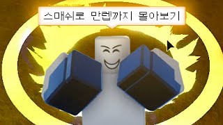 [킹피스] 스매쉬로 만렙찍기 몰아봤습니다 / 로블록스