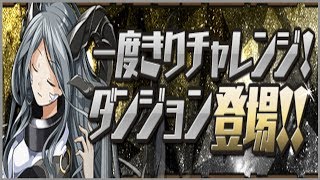 【報酬フィレム】第18回「一度きりチャレンジ」に特攻！【パズドラ実況】