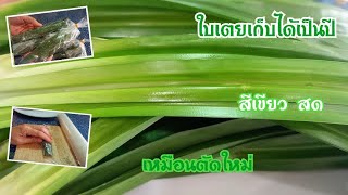 วิธีเก็บรักษา\