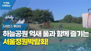 하늘공원 억새 풀과 함께 즐기는 서울정원박람회! / YTN 사이언스