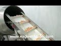 Video:Jinan Eagle Corn Puff(glove shape) snack extruder