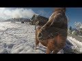 winterzauber am biobauernhof ederbauer in flachau Österreich