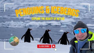 Journey to Antarctica: Drake Passage & Incredible Wildlife!