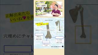 ＃2 上腕骨【3Dで学ぶ解剖学】絶対に間違えない肘の覚え方を紹介！　#上腕骨 #解剖学