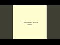Ocean Dream Aurora