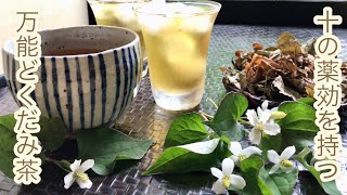 【どくだみ茶の作り方】十の薬効を取り入れて、暑い夏を乗り切ろう！