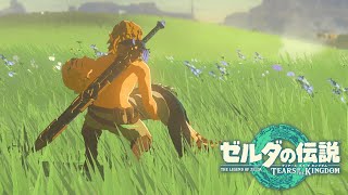 悠久の時を超えて【ゼルダの伝説 ティアーズ オブ ザ キングダム】#76(The End)