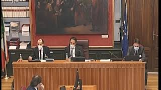 Roma - Audizioni su sistema elettorale Camera e Senato (17.06.20)