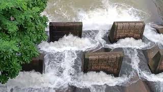 佐敦谷沈雲山水道_2022-06-11