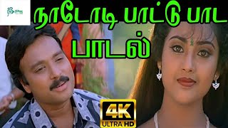 Naadodi Paattu Paada ||நாடோடி பாட்டு பாட ||  SPB ||Love  H D Song