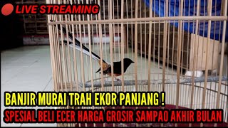 🔴 LIVE STREAMING ! SPESIAL BONGKARAN IMPOR \u0026 LOKAL || PROMO BELI ECER HARGA GROSIR || 0838-7553-6945