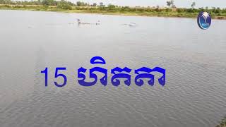 ស្រះទឹកមេ ទំហំ ១៥ហិកតា នៅខាងចម្ការចេកអំបូងលឿង និងចម្ការខ្នុរការ៉ុត របស់ក្រុមហ៊ុនម៉ាកាស់ លែន